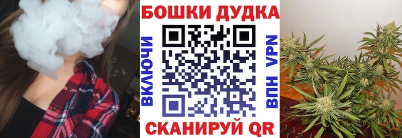 Купить закладку Alpha PVP  Меф  Канабис  Сковородино