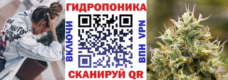 Канабис Amnesia  Купить  Сковородино 